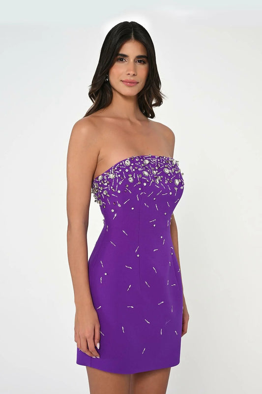 Embriodered Strapless Mini Dress - Multicolor